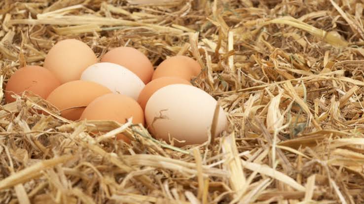 farm fresh eggs