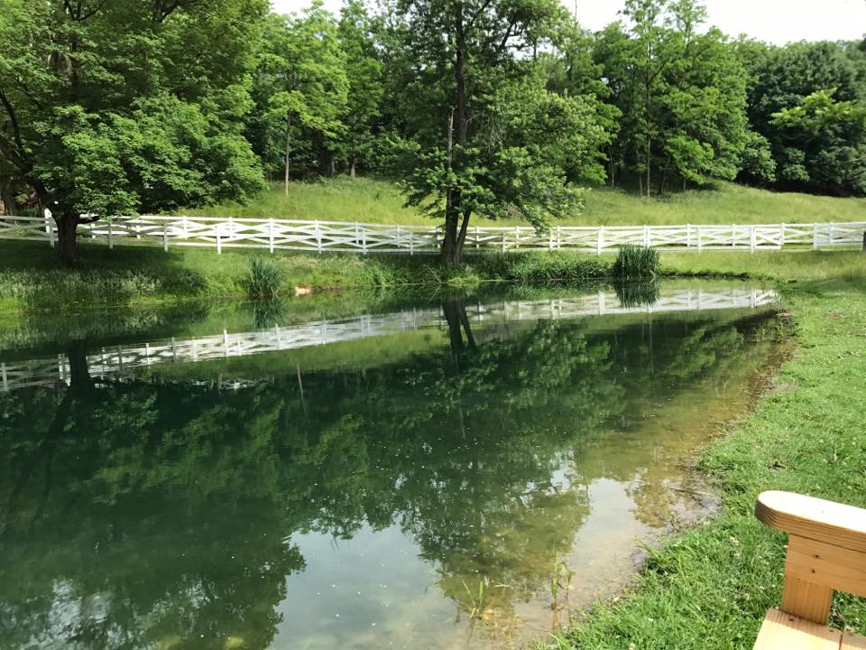 farm_pond