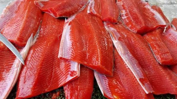 alaskan salmon