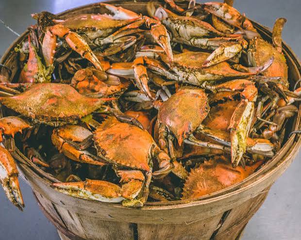 jumbo blue crabs